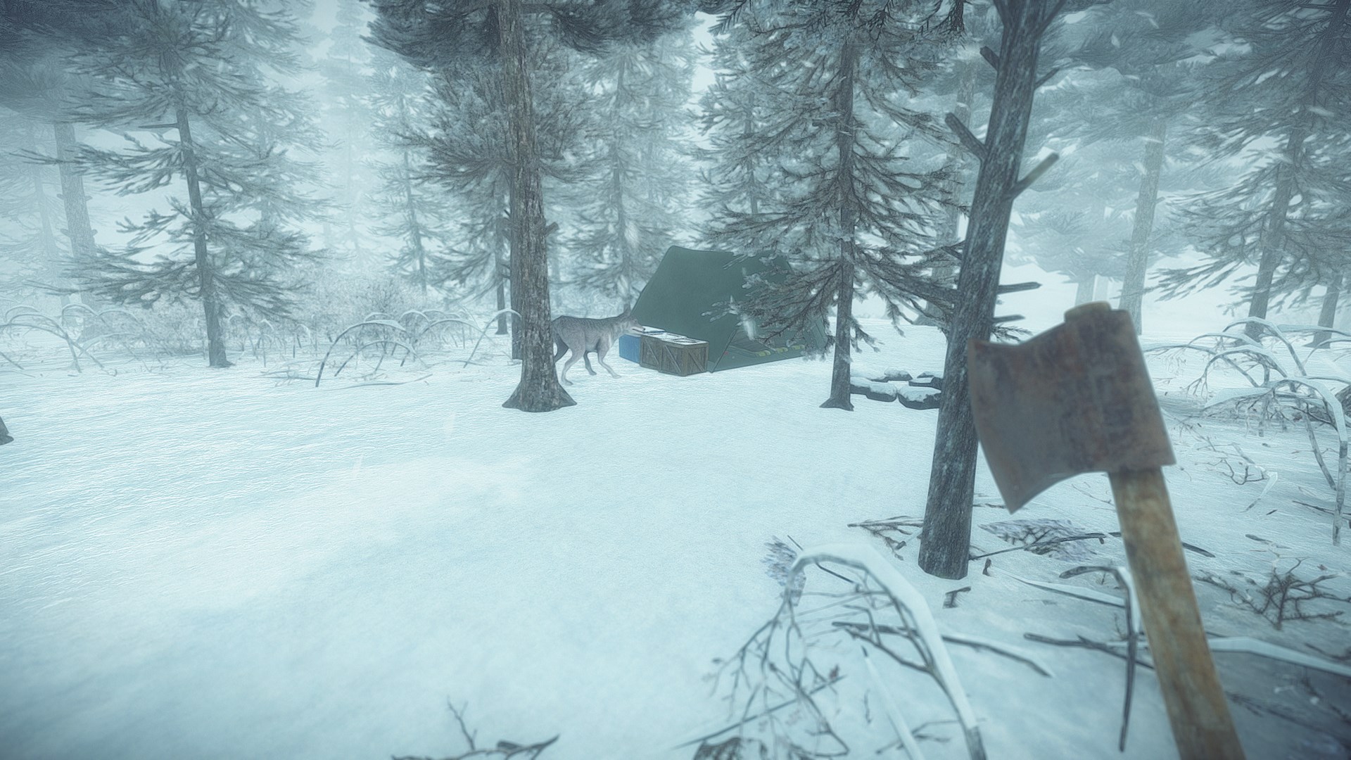 Kona xbox online