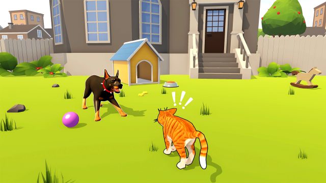 gato malo
