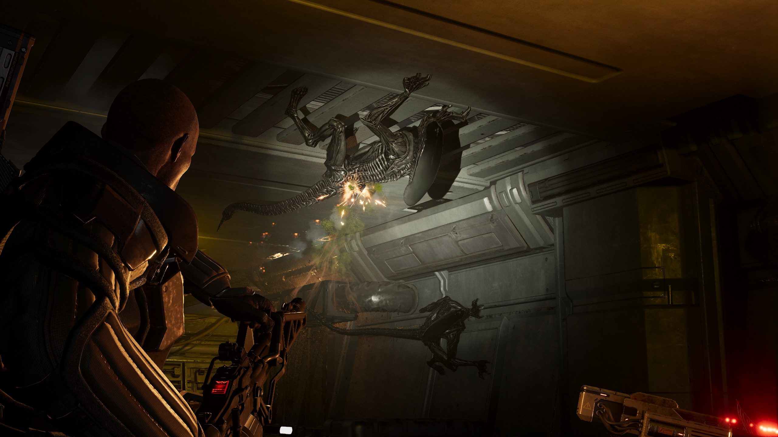 Aliens: Fireteam Elite 2 Review