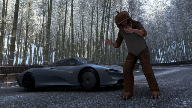 Forza Horizon 6 Series 5 Winter Photo Challenge